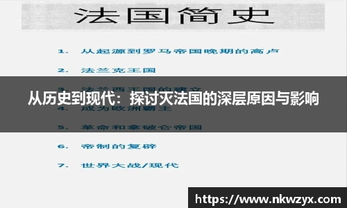 从历史到现代：探讨灭法国的深层原因与影响